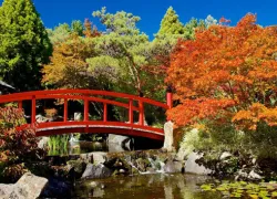 Royal Tasmanian Botanical Gardens in Tasmania