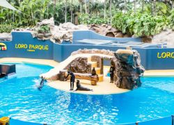 Loro Park in Tenerife