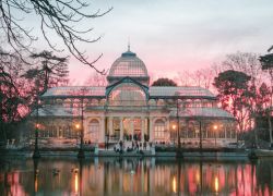 El Retiro Park in Madrid