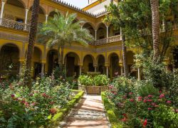 Palacio de las Duenas in Seville