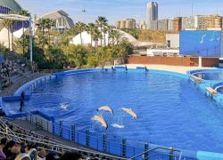 Oceanografic Valencia in Valencia