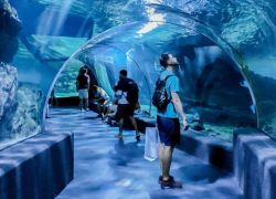 Sea Life Bangkok Ocean World