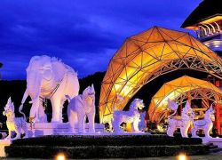 Chiang Mai Night Safari in Chiang Mai