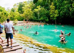 Emerald Pool in Krabi in Krabi