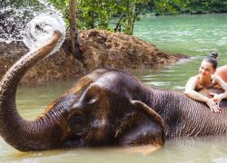 Krabi Elephant Sanctuary in Krabi