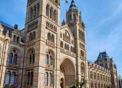 Natural History Museum in London