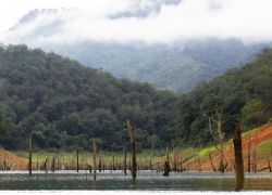 Hala Bala Wildlife Sanctuary in Yala