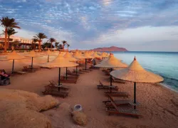 Sinai Peninsula Desert in Sharm el-Sheikh