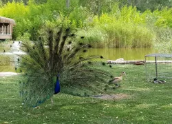 Izmir Wildlife Park in Izmir