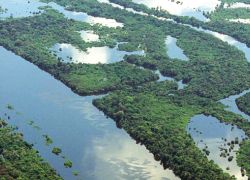 Anavilhanas Islands in Manaus