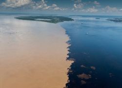 Encontro das Aguas in Manaus
