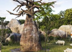 Zurich Zoo in Zurich