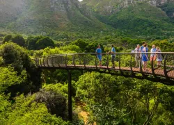 Kirstenbosch Botanical Gardens in Cape Town