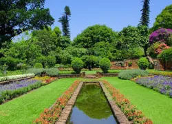 Durban Botanical Gardens in Durban