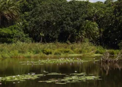 Kenneth Stainbank Nature Reserve in Durban