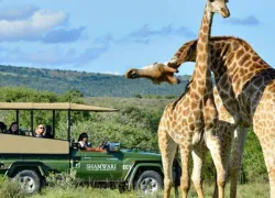Phezulu Safari Park in Durban