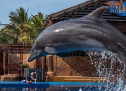 Ushaka Marine World in Durban
