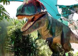 Bayworld Museum in Port Elizabeth