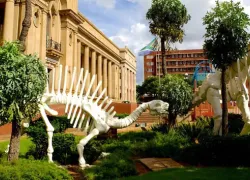 Ditsong National Museum of Cultural History in Pretoria