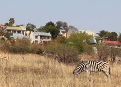 Moreleta Kloof Nature Reserve in Pretoria