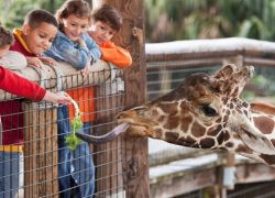 National Zoological Gardens of South Africa in Pretoria