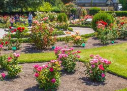 Christchurch Botanic Gardens in Christchurch