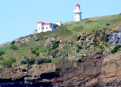 Taiaroa Head in Dunedin