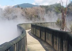 Kuirau Park in Rotorua