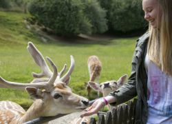 Paradise Valley Springs in Rotorua