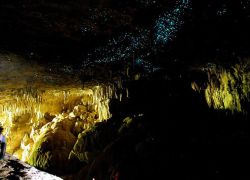 Waitomo Glowworm Caves in Rotorua