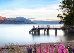 Kinloch Beach in Taupo