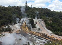 Wairakei Thermal Valley in Taupo