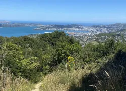 Mount Kaukau in Wellington