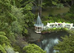 Wellington Botanic Gardens in Wellington