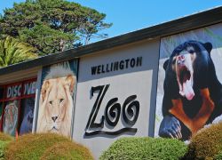 Wellington Zoo in Wellington