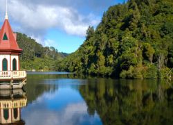 Zealandia in Wellington in Wellington