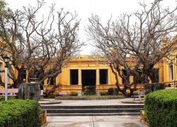 Museum of Cham Sculpture in Da Nang