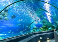 Museum of Oceanography in Nha Trang