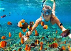 Snorkelling in Phu Quoc in Phu Quoc Island