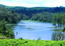 Situ Patenggang Lake in Bandung