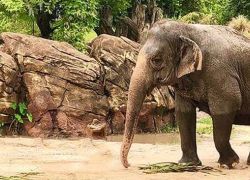 Lombok Wildlife Park in Lombok