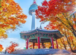 N Seoul Tower in Seoul