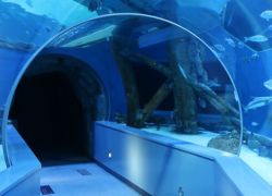 Sharjah Aquarium in Sharjah