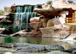 Crocoparc in Agadir