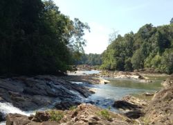 Endau Rompin National Park in Johor Bahru