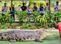 Crocodile Adventureland Langkawi in Kedah