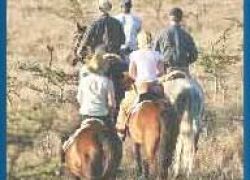 Borana Horse Safari in Borana