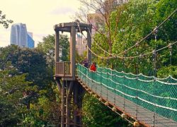 KL Forest Eco Park in Kuala Lumpur