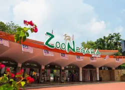Zoo Negara in Kuala Lumpur
