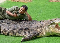 Crocodile Adventureland Langkawi in Langkawi